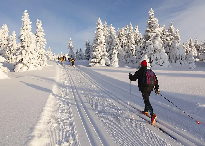 Spa Resort Libverda - Hotel Lesni Zatisi